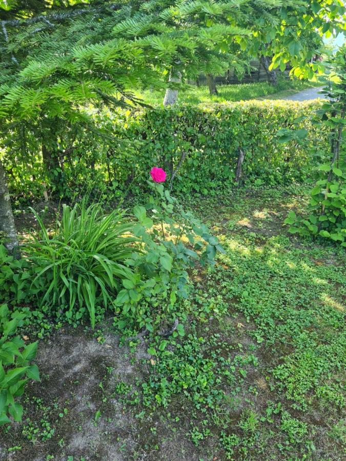 Holiday Home Hizica V Plavem Trnacu Gornja Stubica Екстериор снимка