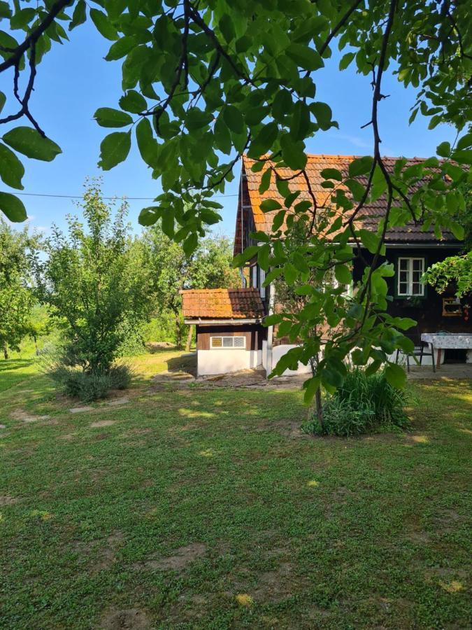 Holiday Home Hizica V Plavem Trnacu Gornja Stubica Екстериор снимка