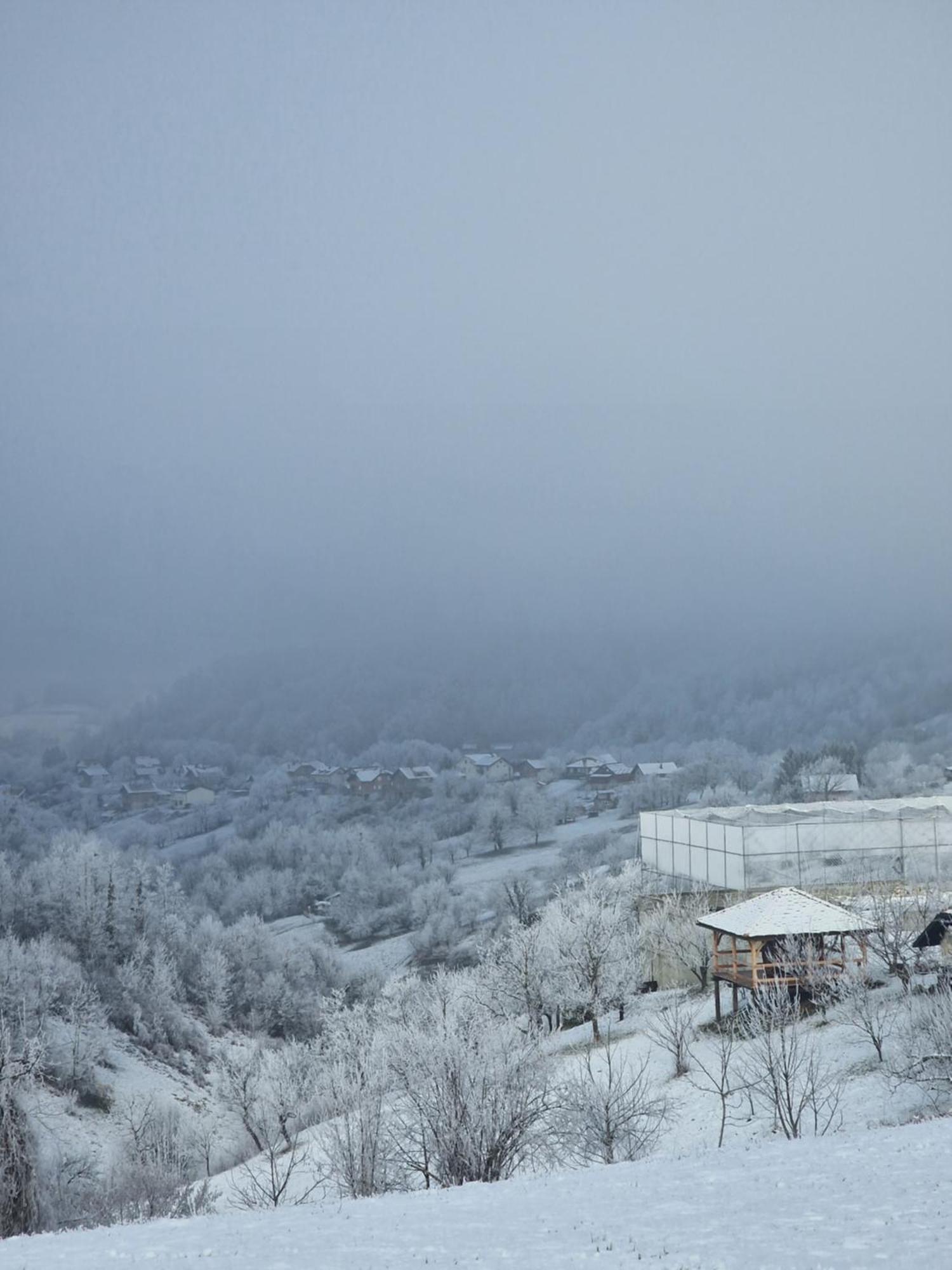 Holiday Home Hizica V Plavem Trnacu Gornja Stubica Екстериор снимка