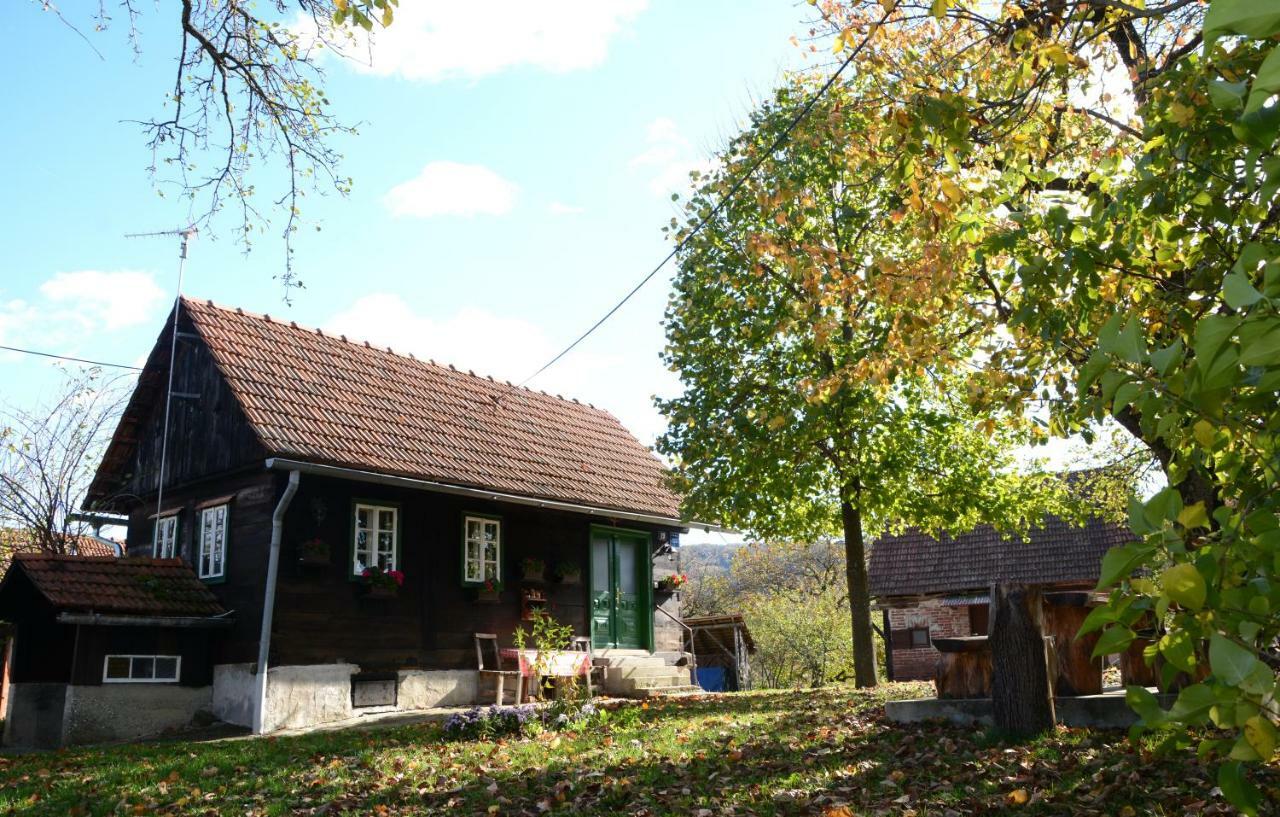 Holiday Home Hizica V Plavem Trnacu Gornja Stubica Екстериор снимка