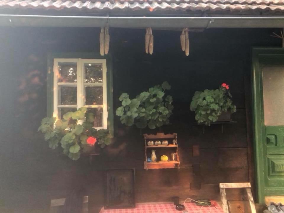 Holiday Home Hizica V Plavem Trnacu Gornja Stubica Екстериор снимка
